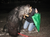 Krampus a Pontebba